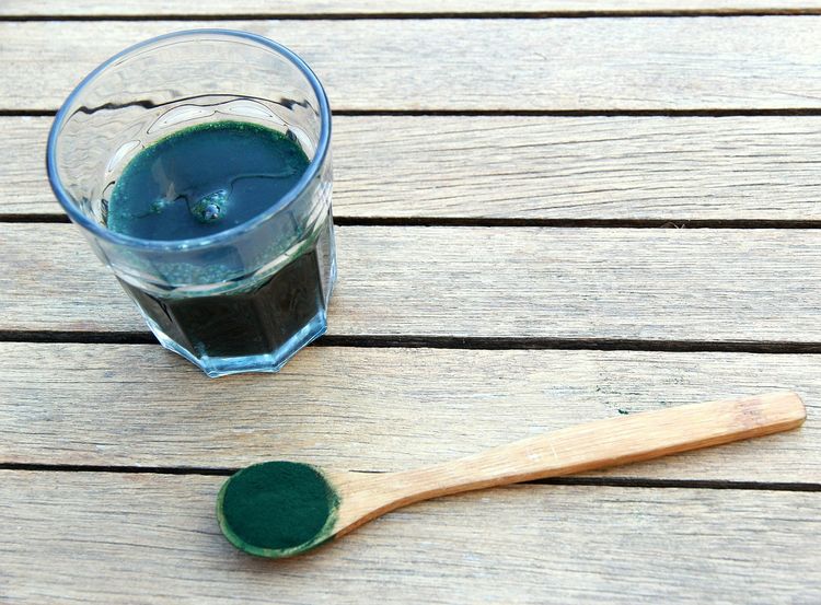 Mořská řasa spirulina