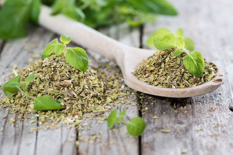 Sušené a čerstvé oregano na dřevěné lžíci