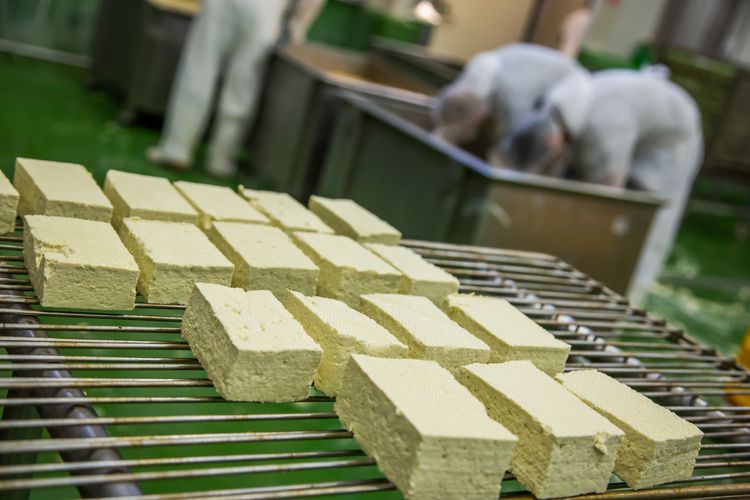 Alfa Bio natural tofu