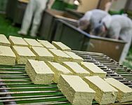Jakub Lunter: Tofu má vysoký obsah vápníku, bílkovin a vlákniny