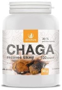 Allnature Chaga kapsle 100 cps