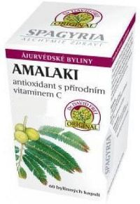 Amalaki - antioxidant přírodní vitamín C cps.60