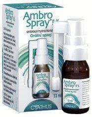 Ambrospray 5% orm.spr.13ml