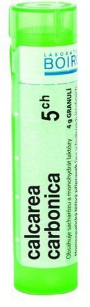 Calcarea Carbonica CH5 gra.4g