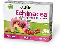 Echinacea se šípkem a zázvorem 60 tob.