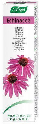 Echinacea zubní pasta - 100 g/72 ml (A.Vogel)