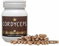 ES Cordyceps PREMIUM 100 kapslí