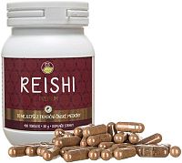 ES Reishi PREMIUM 100 kapslí
