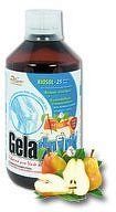 Geladrink Forte biosol hruška 500ml