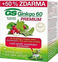 GS Ginkgo 60 Premium tbl. 40+20