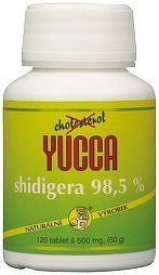 HEMANN Yucca Schidigera 98.5% tbl.120