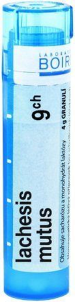 Lachesis Mutus CH9 gra.4g