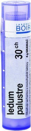 Ledum Palustre CH30 gra.4g