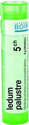 Ledum Palustre CH5 gra.4g