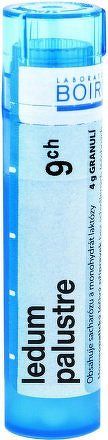 Ledum Palustre CH9 gra.4g