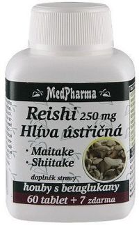 MedPharma Reishi 250mg Hlíva ústřičná tbl.67