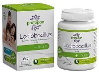 Protopan Lactobacillus + inulin tob.60