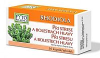 RHODIOLA tobolky při stresu 30ks Fytopharma