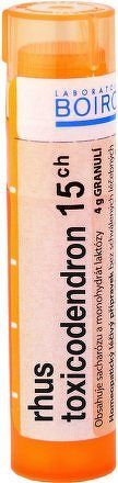 Rhus Toxicodendron CH15 gra.4g