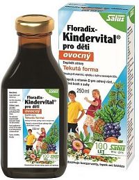 Salus Floradix Kindervital Fruity 250ml