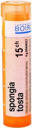 Spongia Tosta CH15 gra.4g