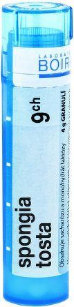 Spongia Tosta CH9 gra.4g