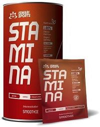 Stamina Smoothie/DURING 600g