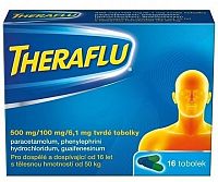 Theraflu 500/100/6.1mg cps.dur.16