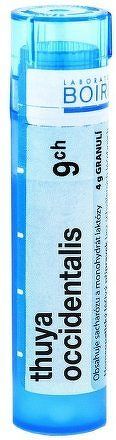 Thuya Occidentalis CH9 gra.4g