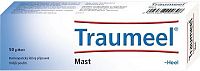 Traumeel S Heel ung.1x50g (D)