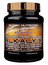 Alkali-X - Scitec 660 g Fruit Punch