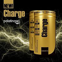 Charge - Yamamoto 700 g Citron