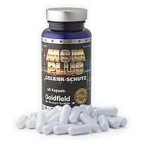 MSM-Plus - Goldfield 60 kaps.