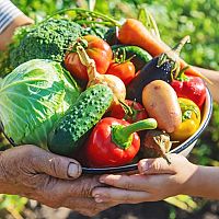 Dieta při dně, cukrovce a vysokém cholesterolu