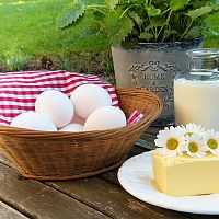 Bílkovinná dieta – 14-denní. 4 fáze. Co mohu jíst?