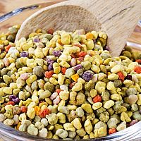 Včelí pyl pozitivně ovlivňuje lidské zdraví i psychiku