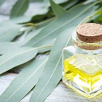 Eukalyptový olej pro děti i v těhotenství. Výborný na napařování