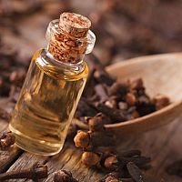 Hřebíčkový olej na zuby – přírodní léčba bolesti. Účinky, zkušenosti, cena