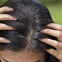 Alpecin, Reparex nebo Nogrey? Který je nejlepší proti šedivění vlasů