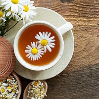 Co na podporu trávení? Vyzkoušejte bylinky na trávení, žaludek, slinivku a střeva