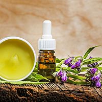 Kostival lékařský i jako krém na zuby, říkají zkušenosti