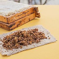 Propolis a propolisová tinktura – jaké jsou jejich účinky na zdraví?