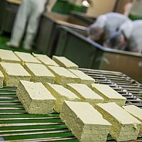 Jakub Lunter: Tofu má vysoký obsah vápníku, bílkovin a vlákniny