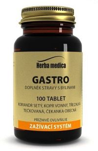 Herba medica Gastro 100 tbl.