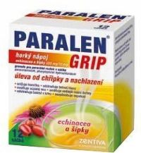 Paralen Grip horký Echin+šípky por.gra.sol.scc.12