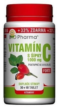 Vitamín C 500mg s šípky prodl.účinek tbl.30+10
