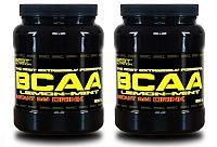 1 + 1 Zdarma: BCAA Instant Drink od Best Nutrition 500 g + 500 g Malina