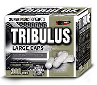 Tribulus - Vision Nutrition 100 kaps.